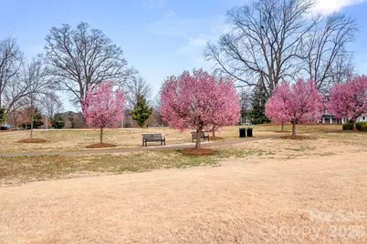 9121 Robbins Preserve Road, Cornelius, NC 28031 - Photo 42