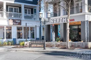 9121 Robbins Preserve Rd, Cornelius, NC 28031 - Photo 48