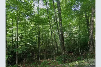 150 Ivy Road, Newland, NC 28657 - Photo 1