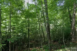 150 Ivy Rd, Newland, NC 28657 - Photo 1