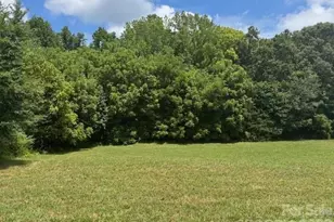 Lot 3 Saint James Church Rd, Denver, NC 28037 - Photo 10