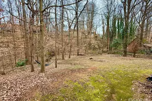 1049 Peachtree Ln, Fort Mill, SC 29715 - Photo 44