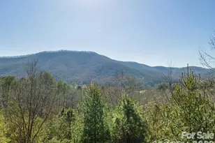 9999 Woodhen Way, Horse Shoe, NC 28742 - Photo 8