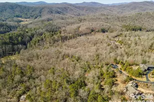 9999 Woodhen Way, Horse Shoe, NC 28742 - Photo 16