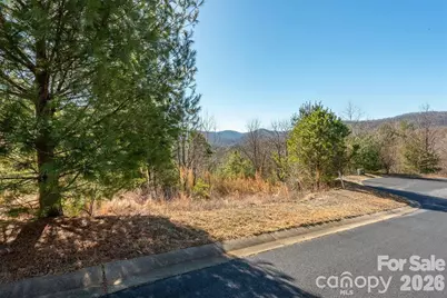 9999 Woodhen Way #138 & 139, Horse Shoe, NC 28742 - Photo 4