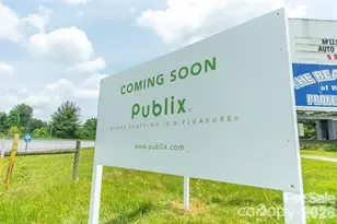 9999 Woodhen Way, Horse Shoe, NC 28742 - Photo 28