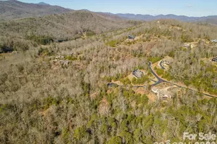 9999 Woodhen Way, Horse Shoe, NC 28742 - Photo 12