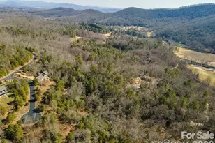 9999 Woodhen Way, Horse Shoe, NC 28742 - Photo 14