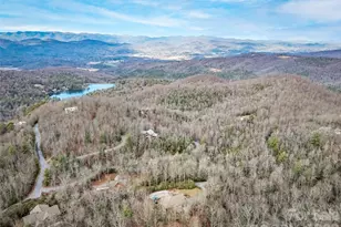 1442 Walnut Ridge Rd, Brevard, NC 28712 - Photo 48