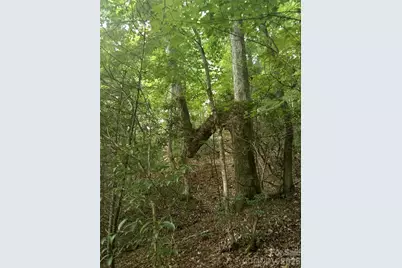 0 Hilltop None #41, Lake Lure, NC 28746 - Photo 4