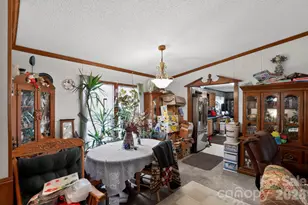 15 Wright Rd, Whittier, NC 28789 - Photo 16