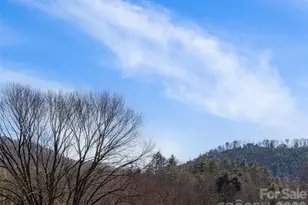 120 Burge Mountain Rd, Hendersonville, NC 28792 - Photo 34