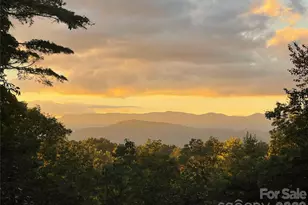 219 Kentwood Ln, Pisgah Forest, NC 28768 - Photo 4