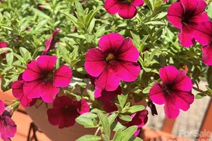 6421 Skyline Dr, Charlotte, NC 28269 - Photo 38