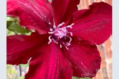 6421 Skyline Drive, Charlotte, NC 28269 - Photo 36