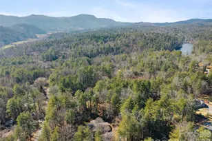 4030 Little River Rd, Hendersonville, NC 28739 - Photo 34