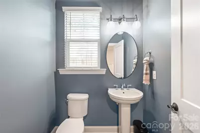 4307 Island Fox Lane, Denver, NC 28037 - Photo 18