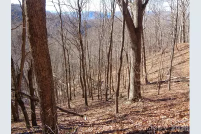 00 Listening Cove #41, Clyde, NC 28721 - Photo 2