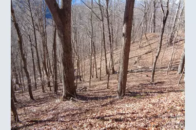 00 Listening Cove #41, Clyde, NC 28721 - Photo 12