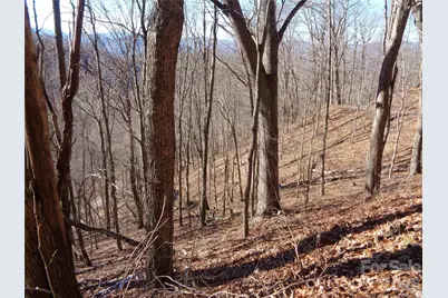 00 Listening Cove #41, Clyde, NC 28721 - Photo 6