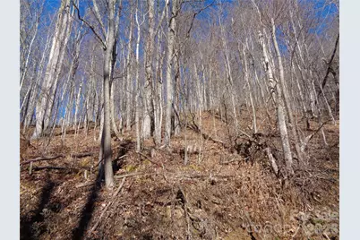 00 Listening Cove #41, Clyde, NC 28721 - Photo 8