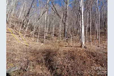 00 Listening Cove #41, Clyde, NC 28721 - Photo 10