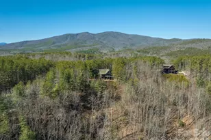 1016 Horizon Trail, Nebo, NC 28761 - Photo 10