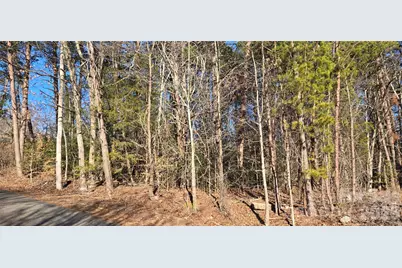 1214 Cartwright Drive #33, Catawba, NC 28609 - Photo 2