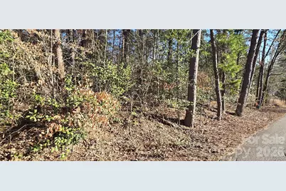 1214 Cartwright Drive #33, Catawba, NC 28609 - Photo 1