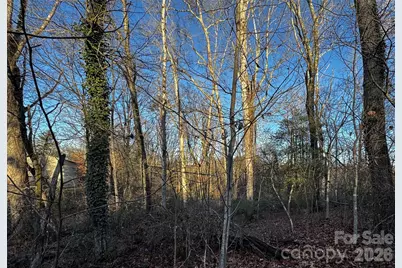 00 Westview Drive #14a - lot 2, Fletcher, NC 28791 - Photo 6