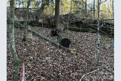 00 Westview Drive #14a - lot 2, Fletcher, NC 28791 - Photo 4