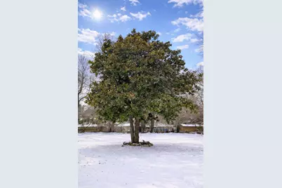 85 Vance Avenue, Black Mountain, NC 28711 - Photo 4