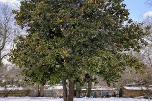 85 Vance Ave, Black Mountain, NC 28711 - Photo 4