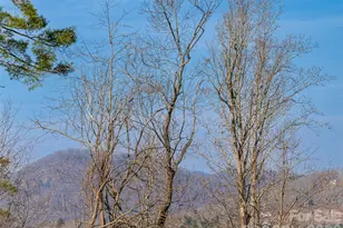 93 Sunny Meadows Blvd, Arden, NC 28704 - Photo 34