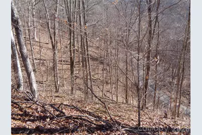 000 Listening Cove #42, Clyde, NC 28721 - Photo 14