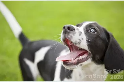 5815 Granbury Drive, Kannapolis, NC 28081 - Photo 16