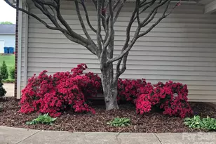 1238 Pennwood Dr, Hickory, NC 28602 - Photo 48