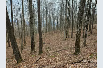 000 Slippery Rock Lane, Waynesville, NC 28785 - Photo 4