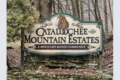 000 Slippery Rock Lane, Waynesville, NC 28785 - Photo 10