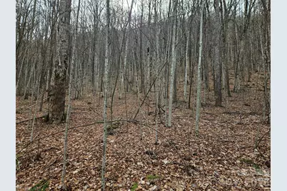 000 Slippery Rock Lane, Waynesville, NC 28785 - Photo 8