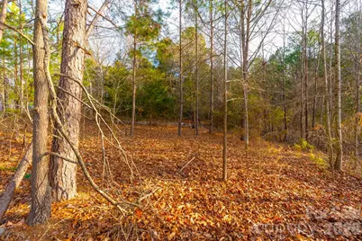 Tbd Simpson Road, Locust, NC 28097 - Photo 8