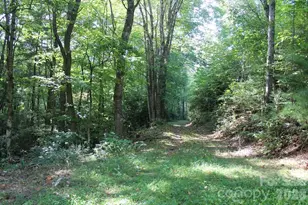 745 Broom Rd, Tuckasegee, NC 28783 - Photo 36