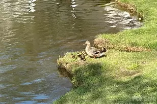 2676 Sunberry Ln NW, Concord, NC 28027 - Photo 44