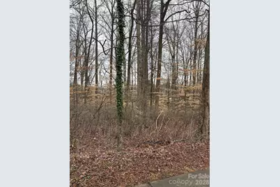 1062 Elizabeth Manor Court, Matthews, NC 28105 - Photo 4