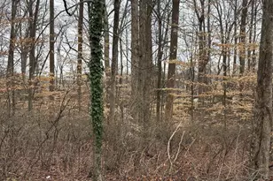 1062 Elizabeth Manor Ct, Matthews, NC 28105 - Photo 4