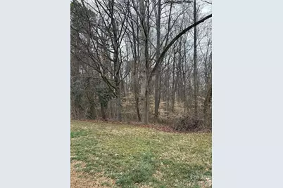 1062 Elizabeth Manor Court, Matthews, NC 28105 - Photo 2