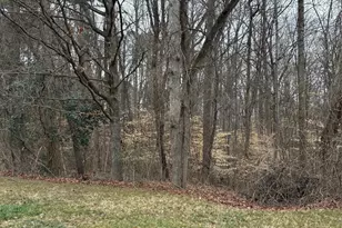 1062 Elizabeth Manor Ct, Matthews, NC 28105 - Photo 2