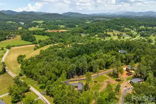 78 Manchester Wy, Mills River, NC 28759 - Photo 24