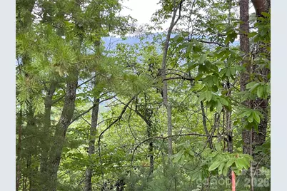 0 Stratford Drive #19, Mill Spring, NC 28756 - Photo 4