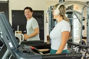 927 Cobbled Wy, Fort Mill, SC 29715 - Photo 30